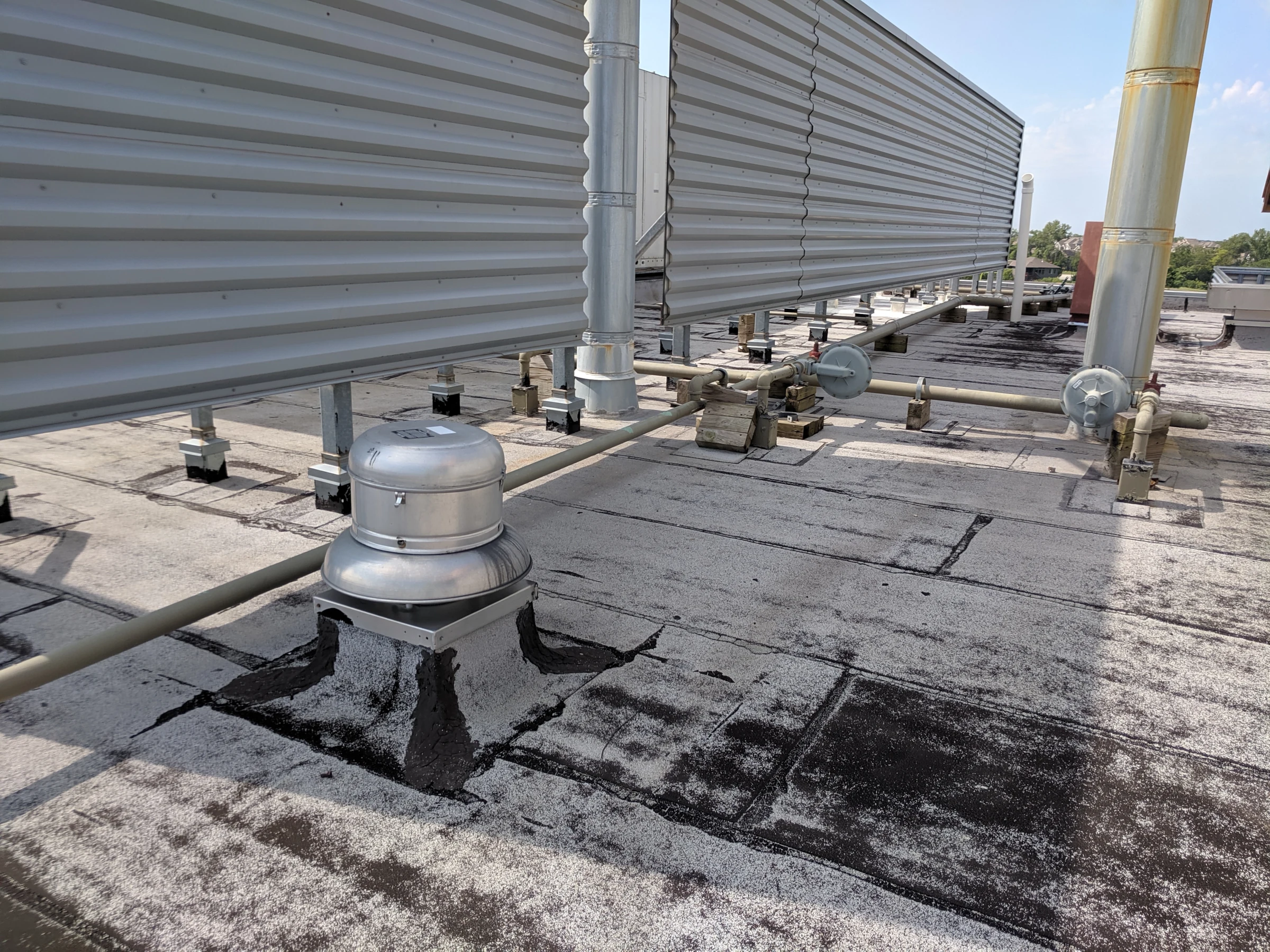 SBS Modified Bitumen for Municipal and High-Traffic Roofs